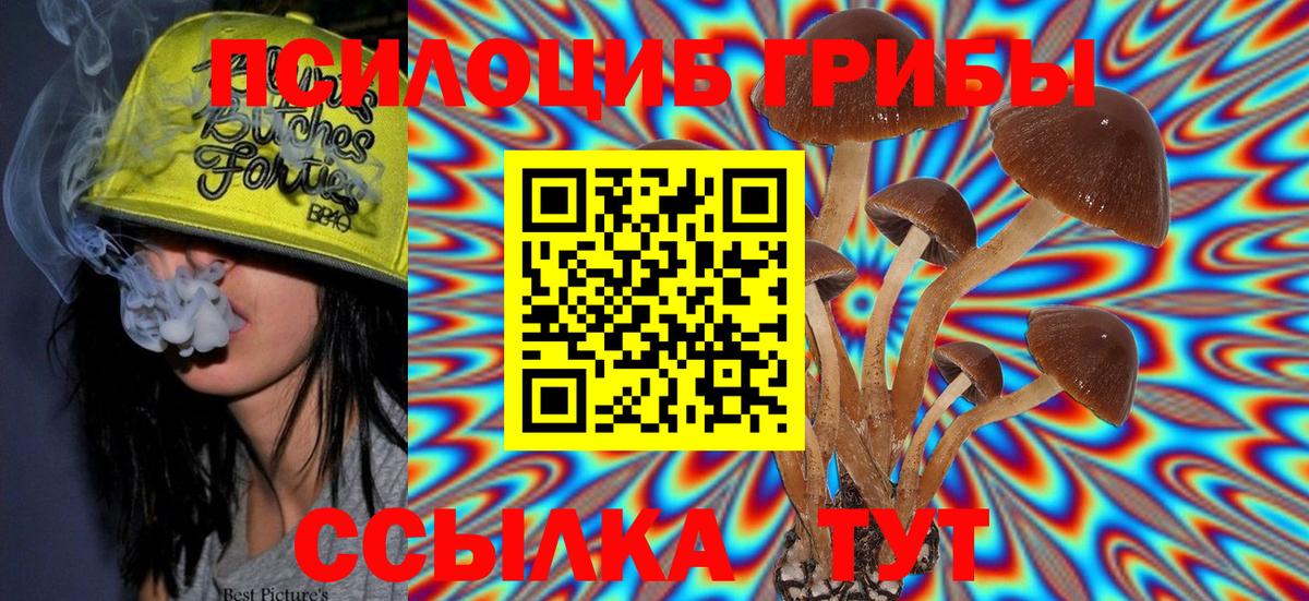 Галлюциногенные грибы MAGIC MUSHROOMS  Псилоцибиновые грибы GOLDEN TEACHER  где продают наркотики  Улан-Удэ  Вход с VPN 